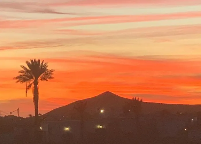 Sunset Terrace 라 올리바